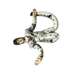 Long Bruno Bucciarati Plush